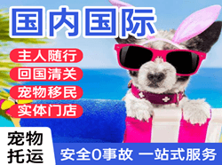 北京航空物流国际宠物托运 【国